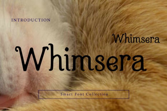 Whimsera Typeface Review for Digital Campaigns